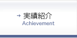 実績
